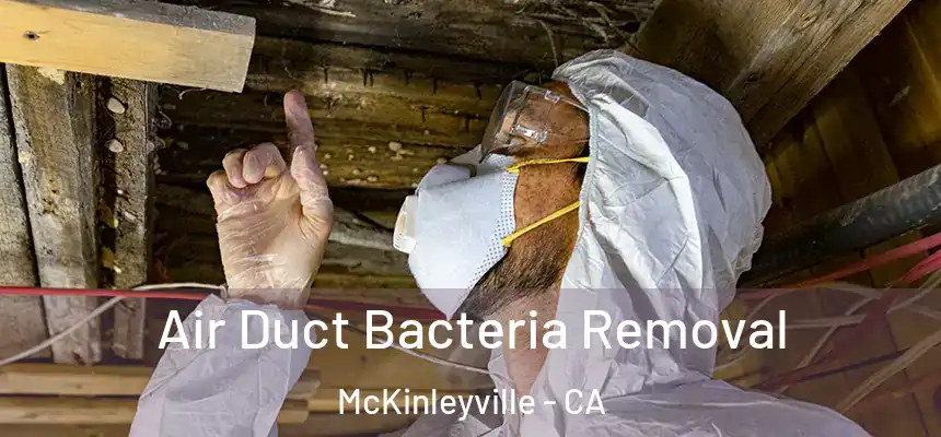  Air Duct Bacteria Removal McKinleyville - CA