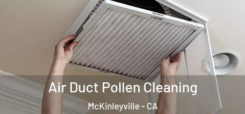  Air Duct Pollen Cleaning McKinleyville - CA