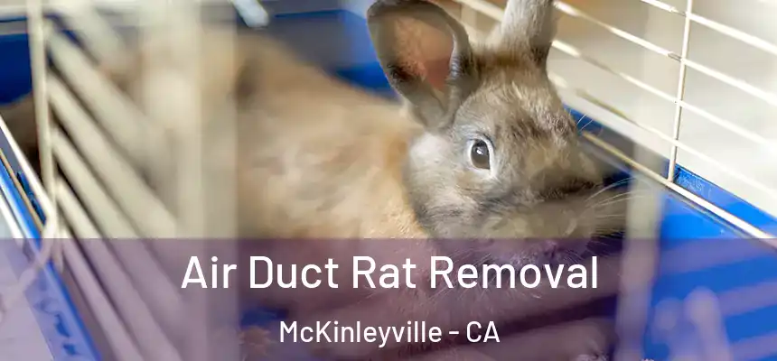 Air Duct Rat Removal McKinleyville - CA