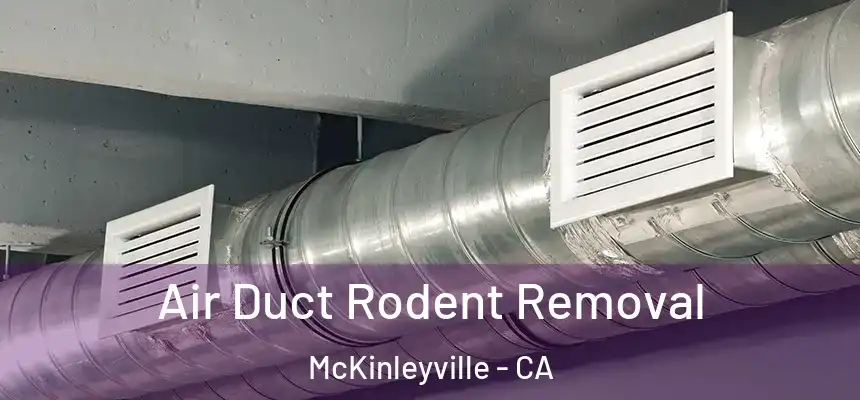 Air Duct Rodent Removal McKinleyville - CA