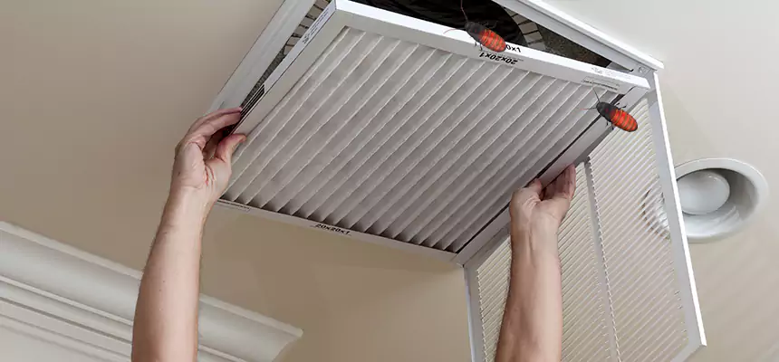 Preventive Cockroach-Proofing for Ducts in McKinleyville
