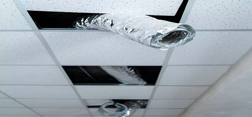 Affordable HVAC Sanitizing After Pest Removal in McKinleyville