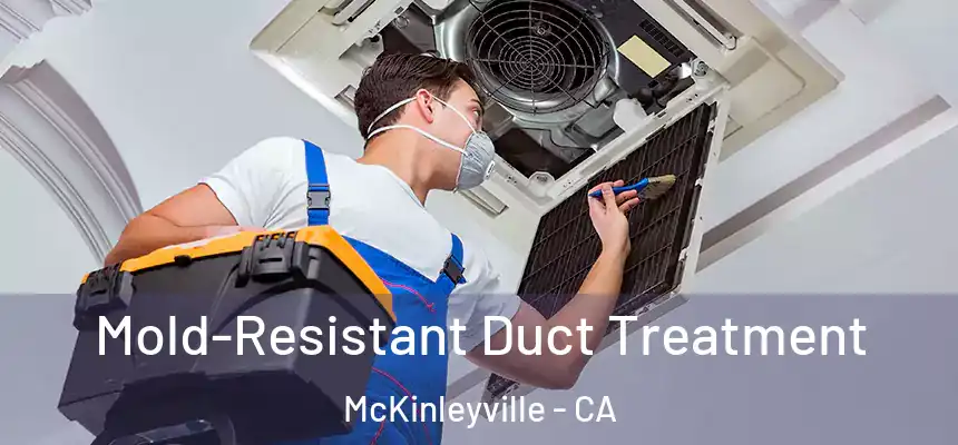  Mold-Resistant Duct Treatment McKinleyville - CA