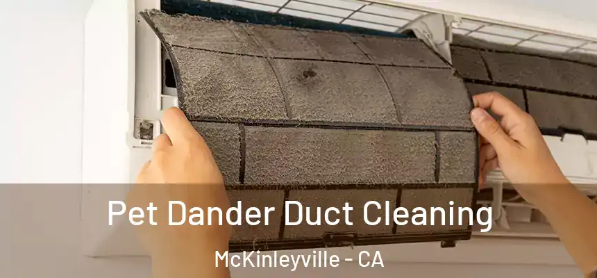 Pet Dander Duct Cleaning McKinleyville - CA