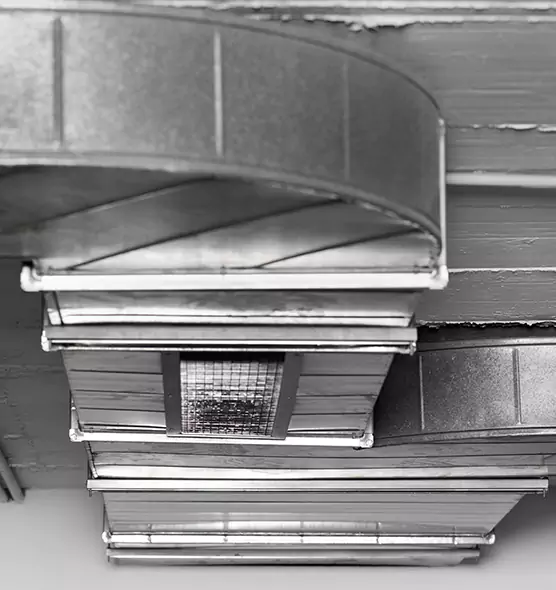 Professional Air Duct Pest Removal in McKinleyville, CA