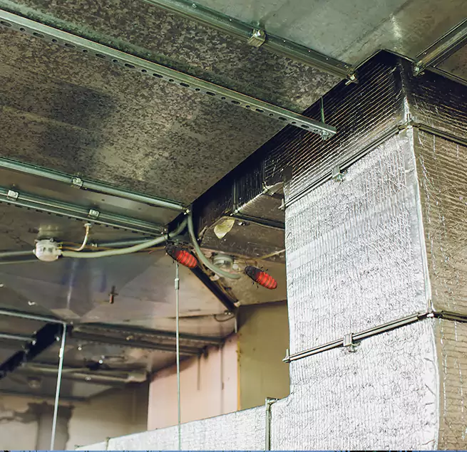 Why Homeowners & Businesses Trust Us in McKinleyville, CA?