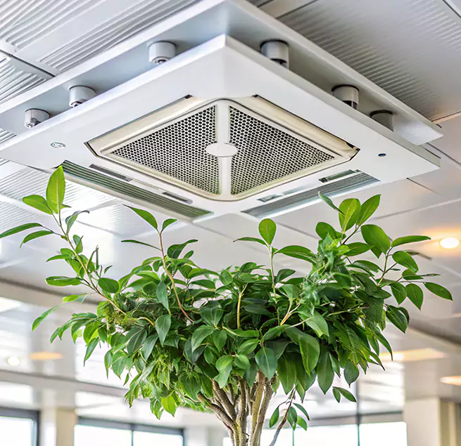 Why Homeowners & Businesses Trust Us in McKinleyville, CA?